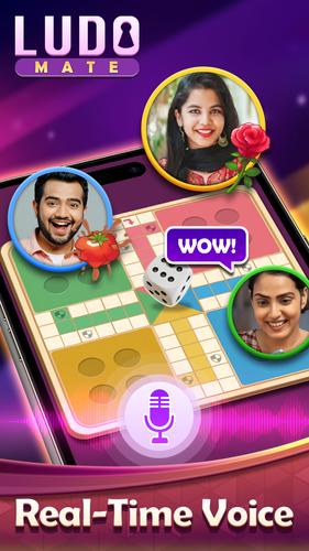 Ludo Mate ภาพหน้าจอ 0
