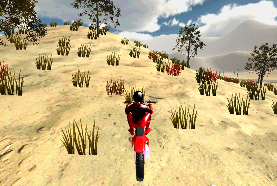 Mountain Bike 3D Screenshot 1