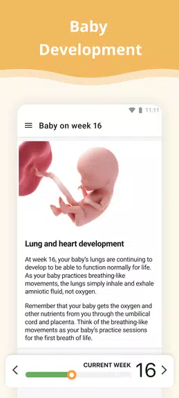 Pregnancy App 螢幕截圖 1