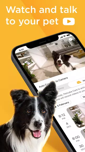Petcube स्क्रीनशॉट 0