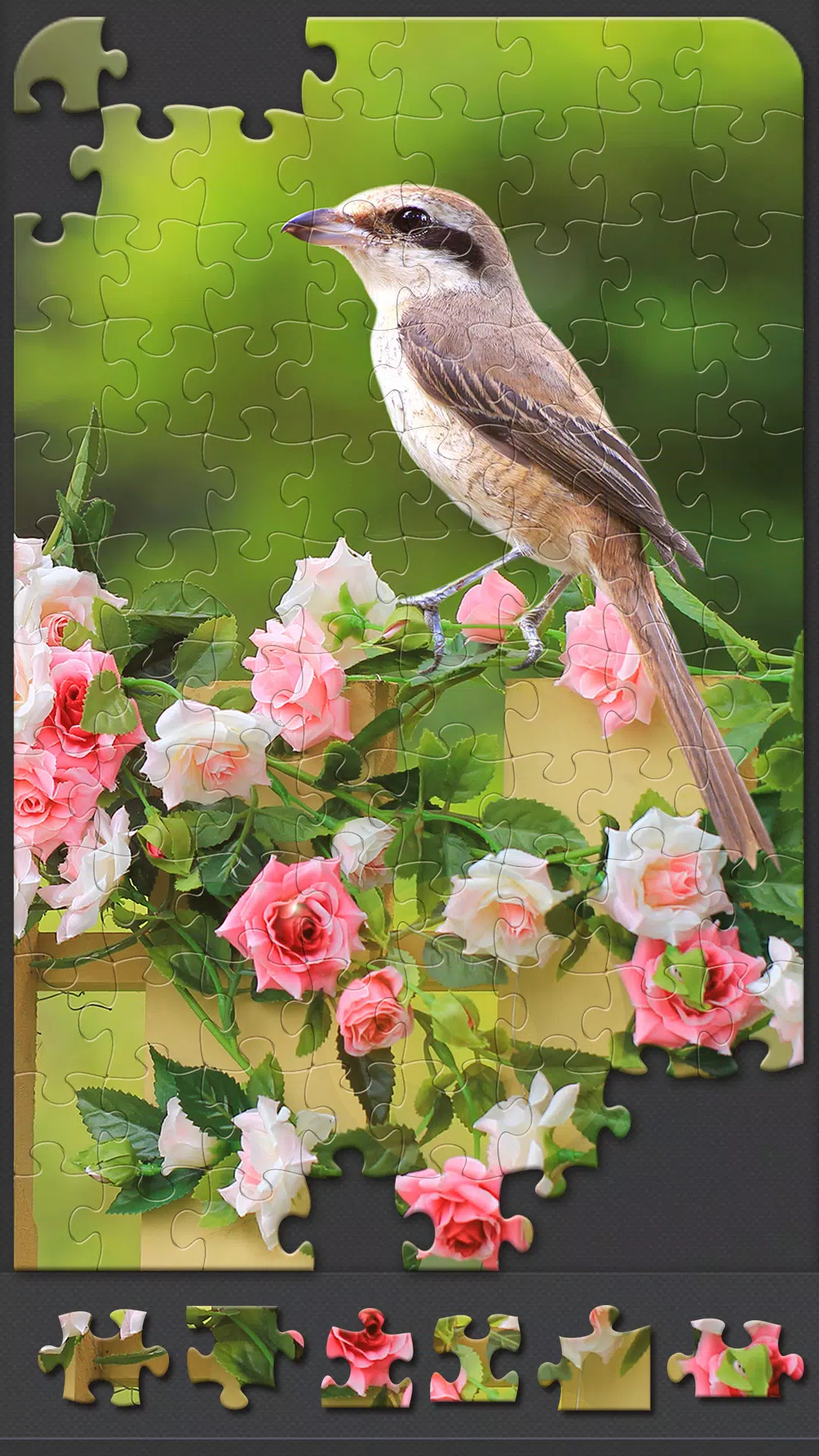 Jigsaw Puzzles for Adults Captura de pantalla 2