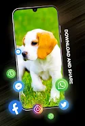 Puppies Wallpapers in 4K ภาพหน้าจอ 2