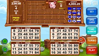 Video Bingo Little Farm应用截图第2张