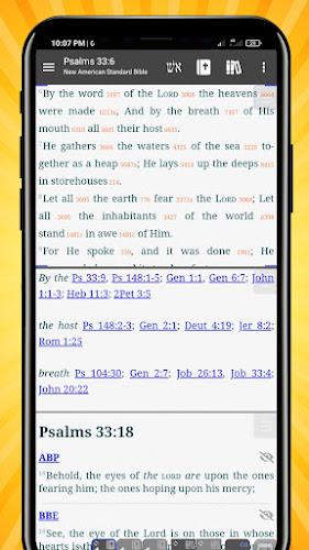 AndBible: Estudio de la Biblia Captura de pantalla 2