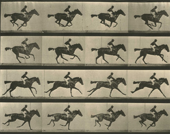 Run Muybridge, run! Screenshot 0