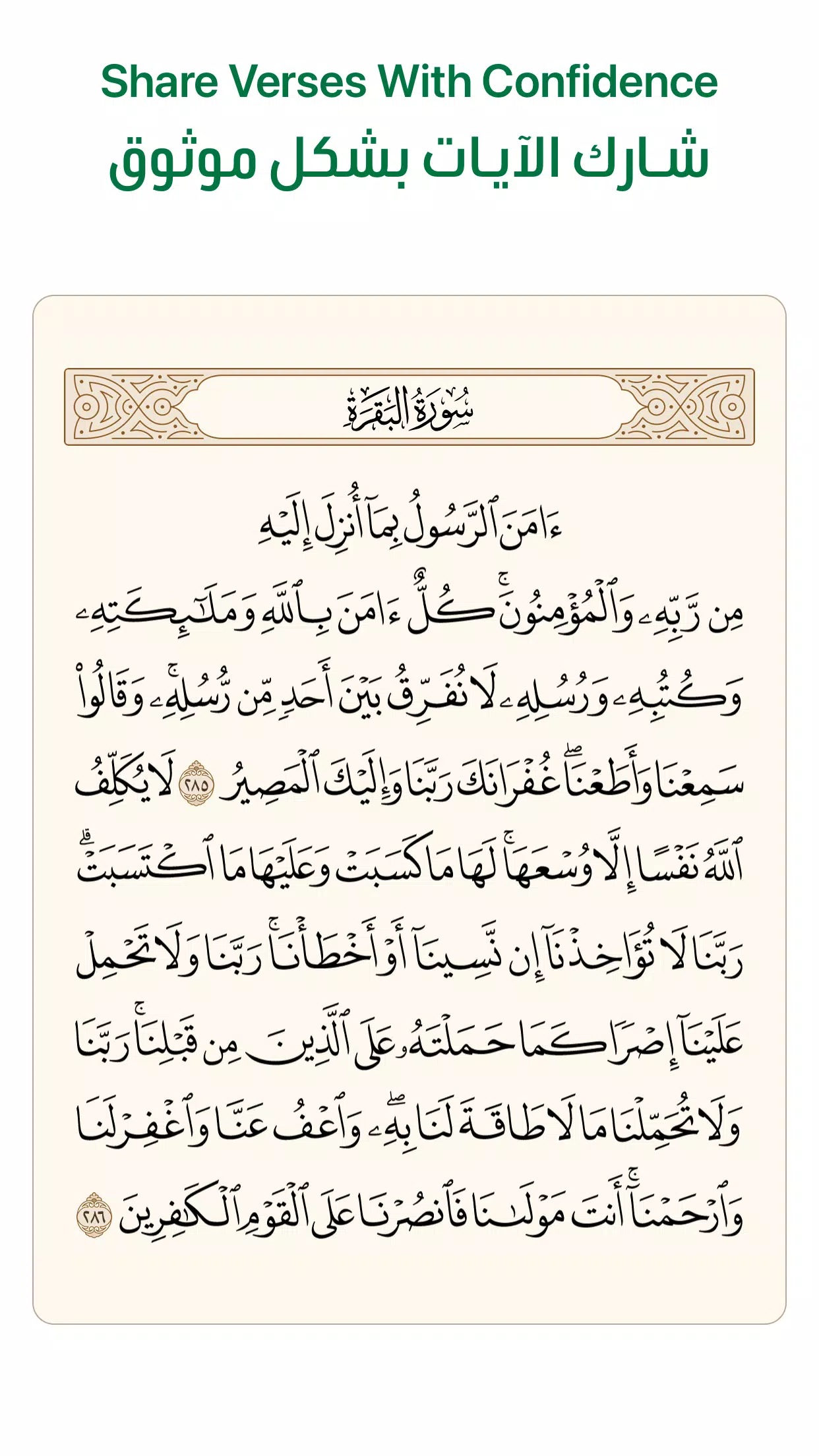 آية - تطبيق القرآن الكريم 螢幕截圖 3