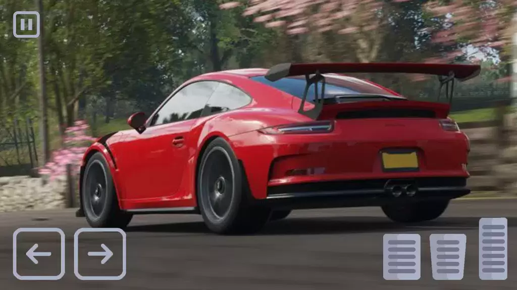 Racing Porsche Carrera 911 GT3 স্ক্রিনশট 3