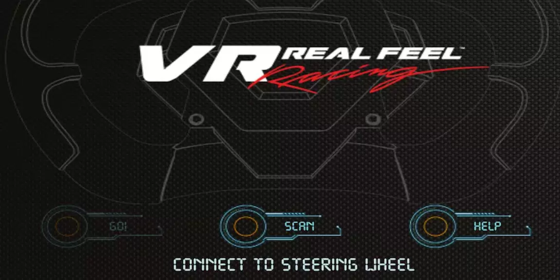 VR Real Feel Racing 螢幕截圖 0