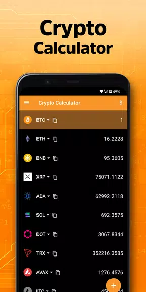 Crypto Calculator ภาพหน้าจอ 2