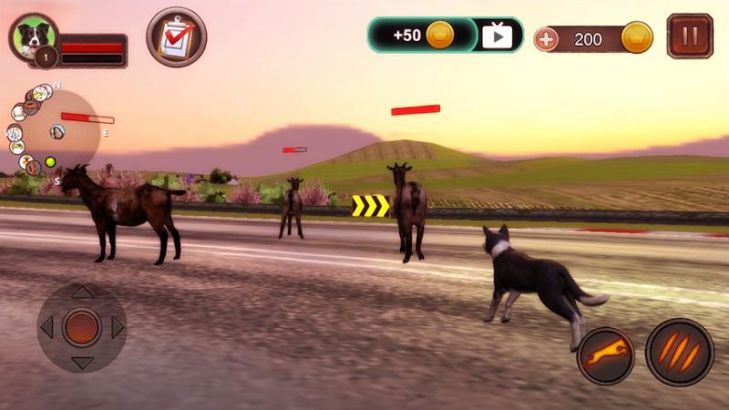 Border Collie Simulator Tangkapan skrin 1