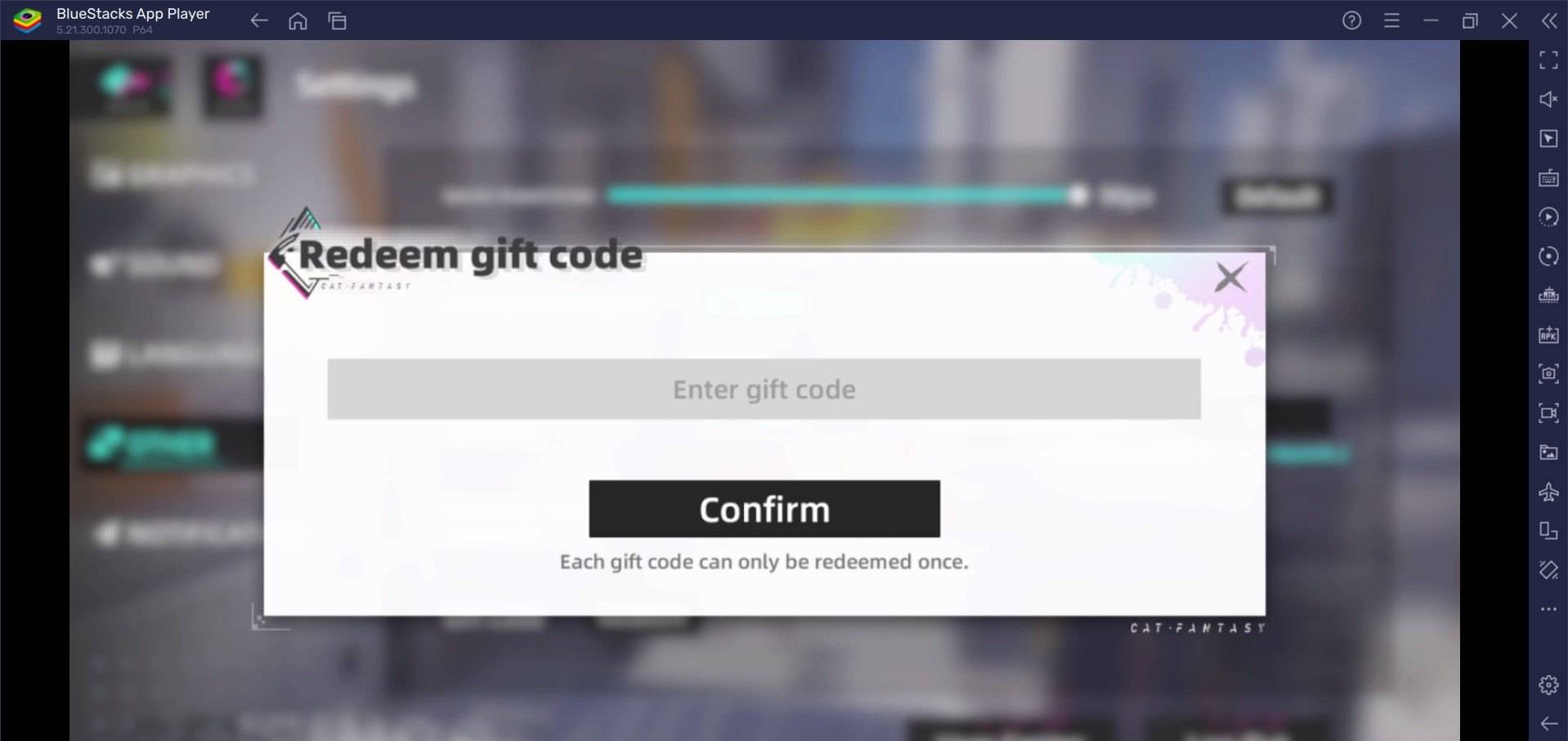 Redemption Code Entry Screen