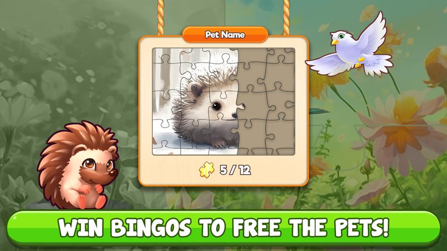 Bingo:  Free the Pets 螢幕截圖 2