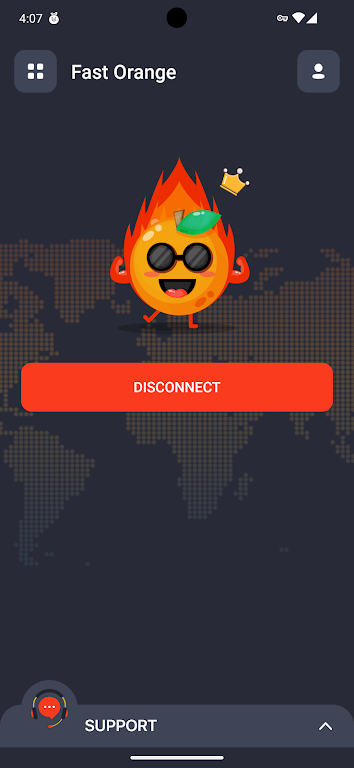 Schermata FastOrange VPN 2