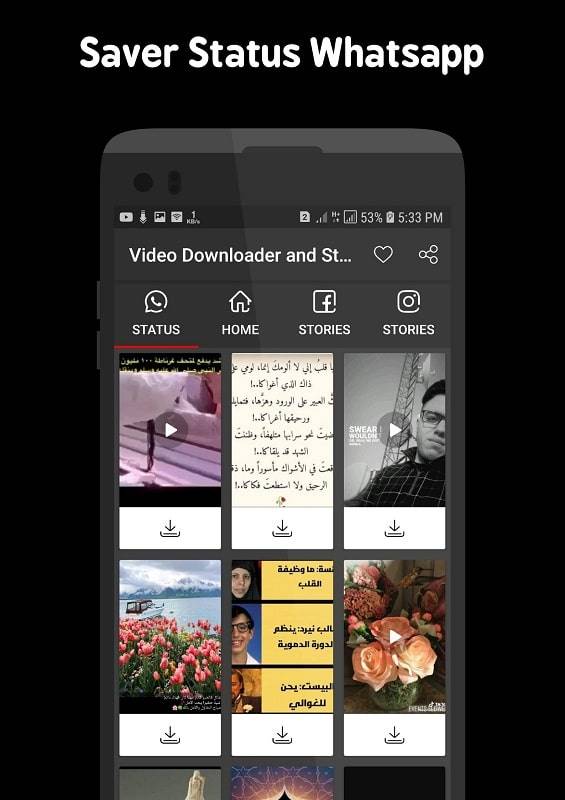 Video Downloader and Stories Schermafbeelding 2