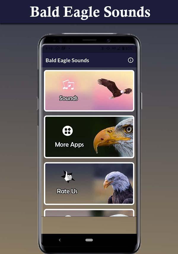 Bald Eagle Sounds应用截图第2张