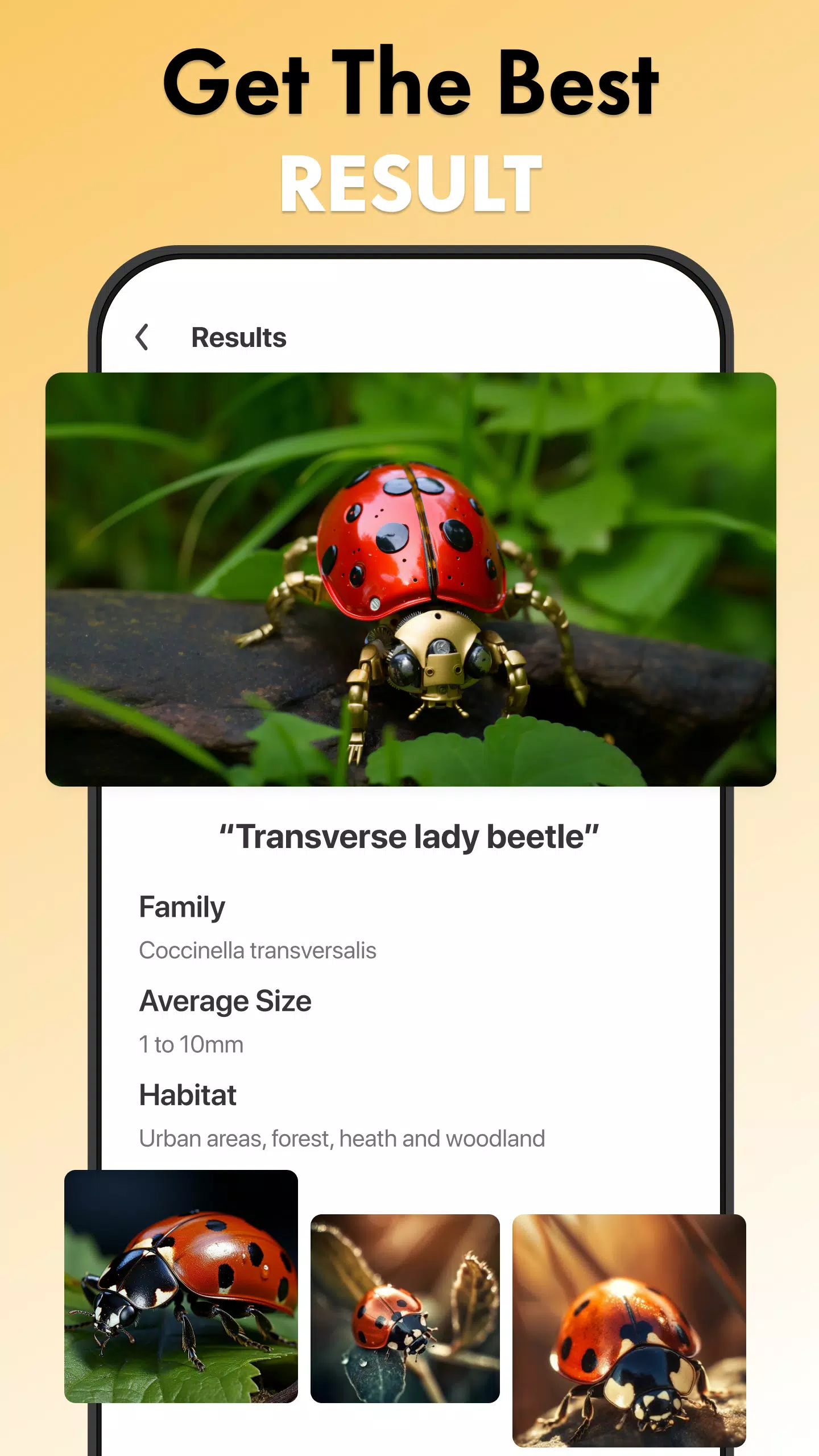 Insect Identifier Bug Identify 螢幕截圖 2