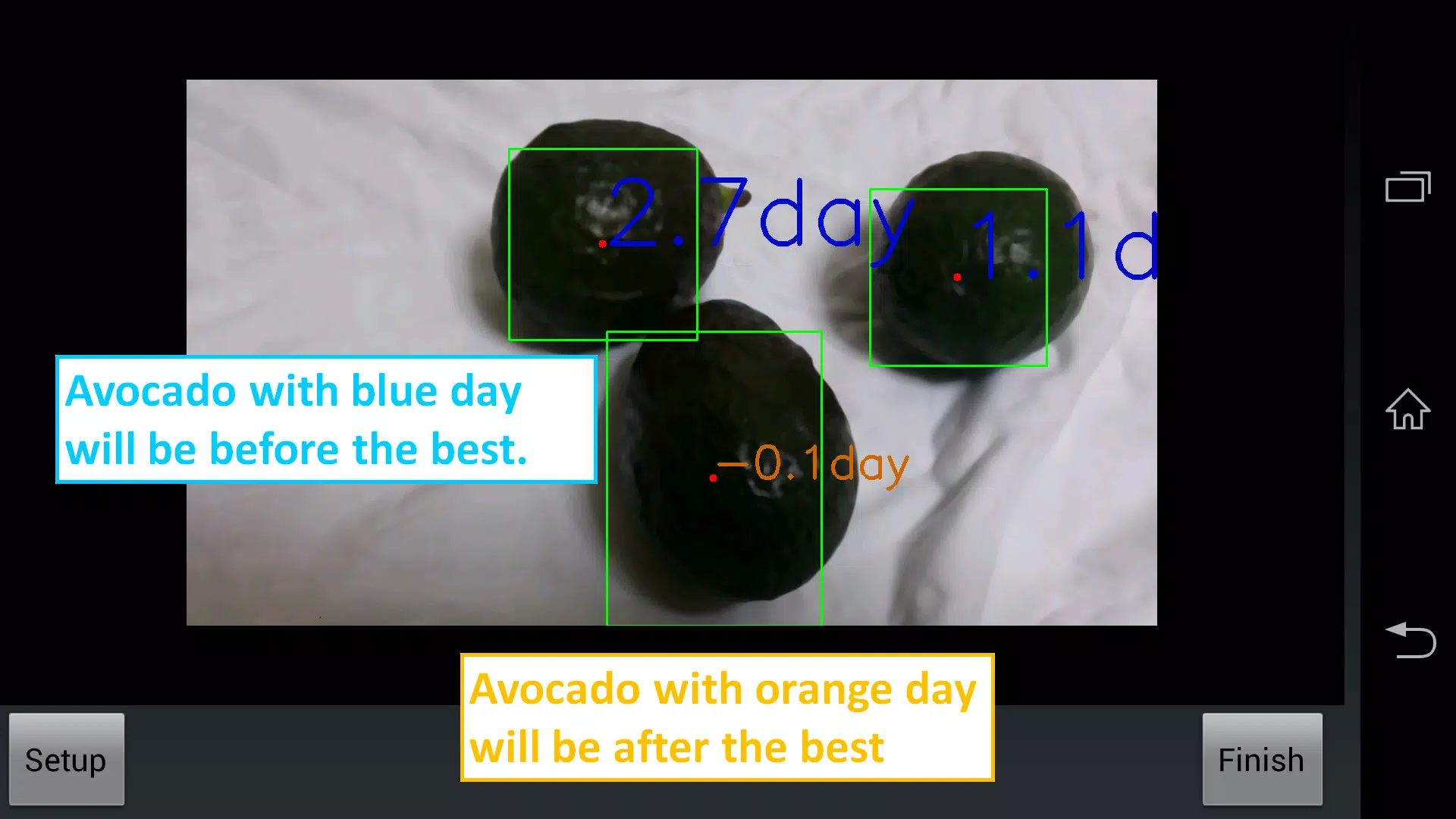 Avocado Checker Capture d'écran 3