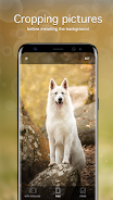 Dog Wallpapers & Puppy 4K ဖန်သားပြင်ဓာတ်ပုံ 3