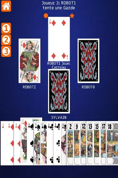 Net.Tarot Скриншот 2