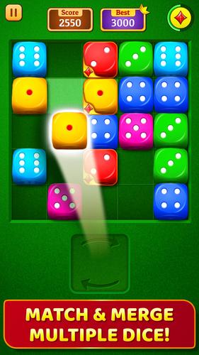 Dice Puzzle 螢幕截圖 0