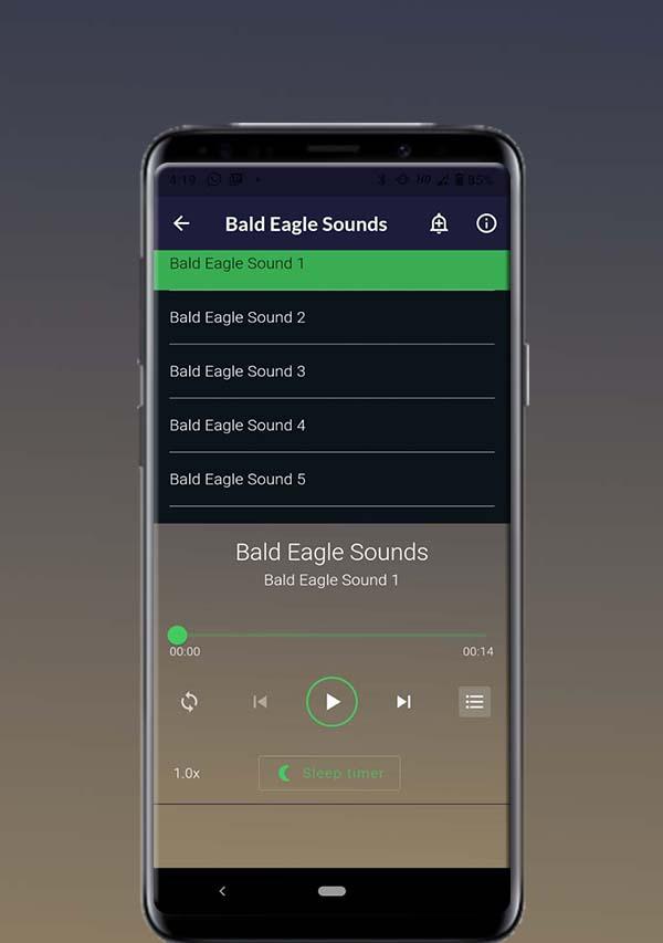 Bald Eagle Sounds应用截图第0张