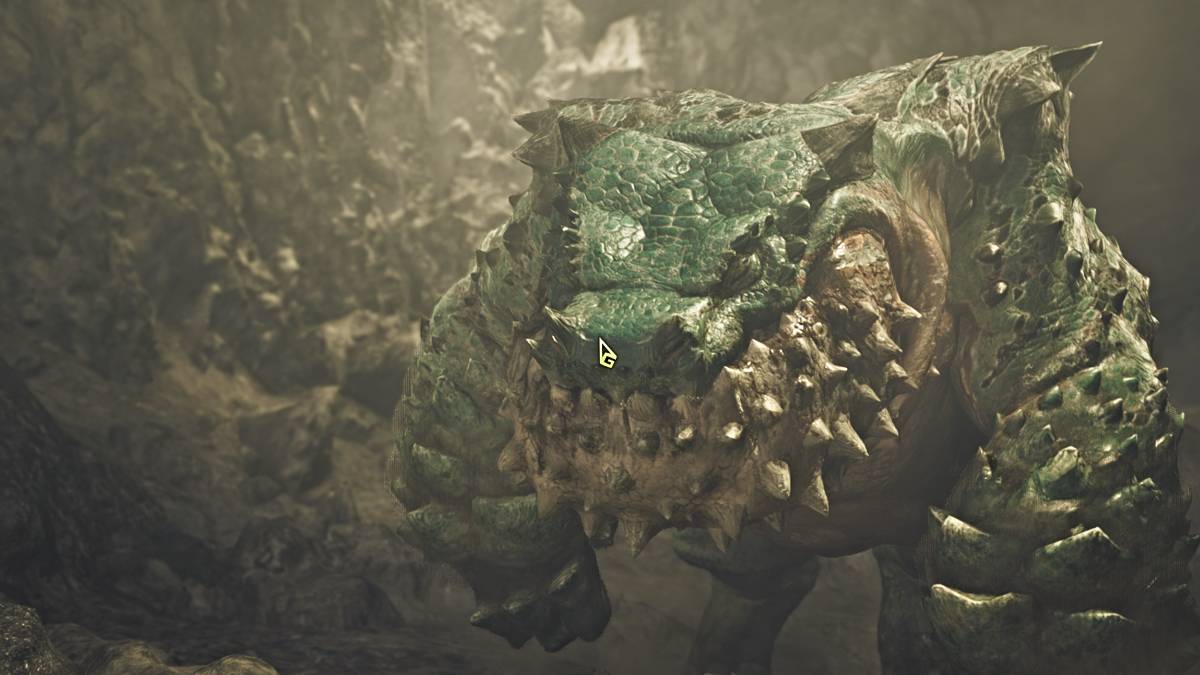 Monster Hunter Wilds တွင်မည်သို့တပ်ဆင်ရမည်နည်း