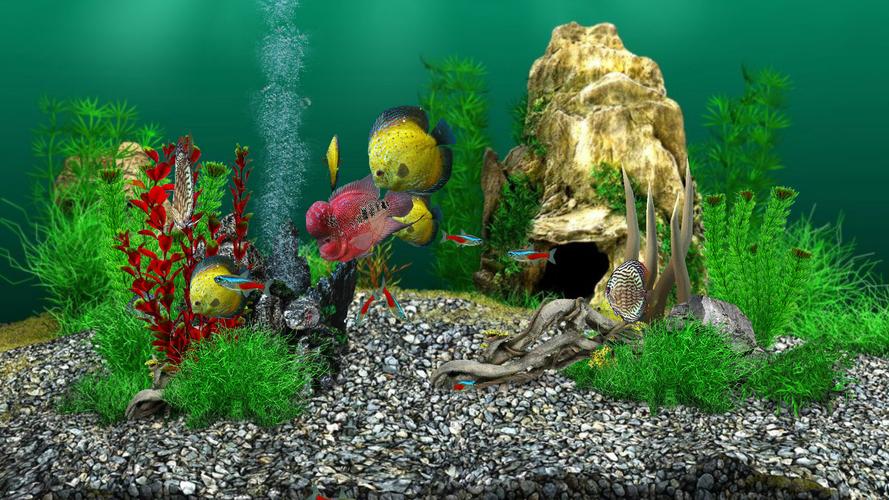 AquaLife 3D应用截图第3张